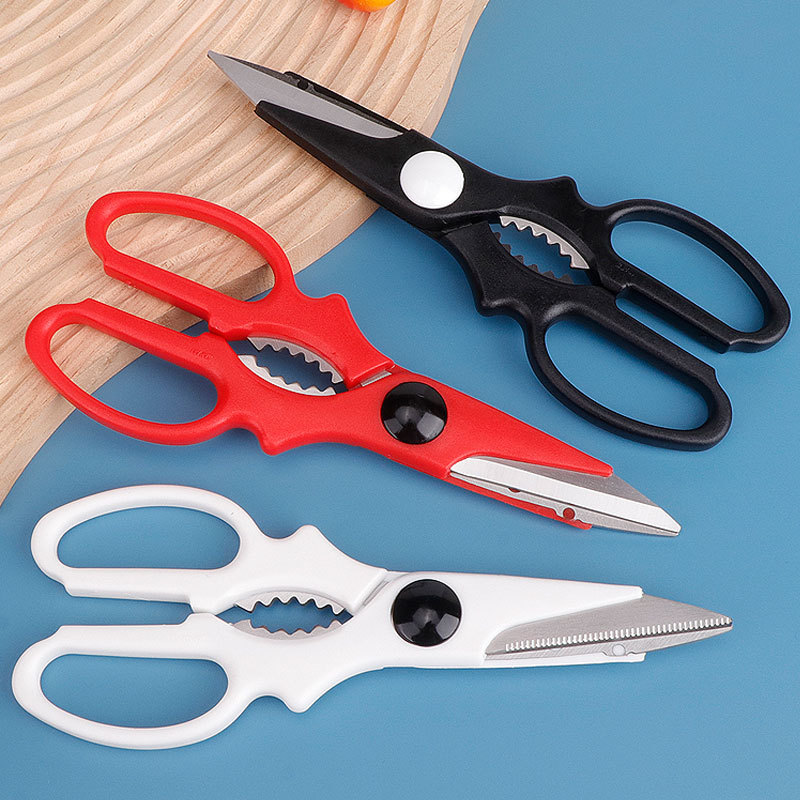 WhatsApp Image 2025-06-27 at 1.09.52 PM