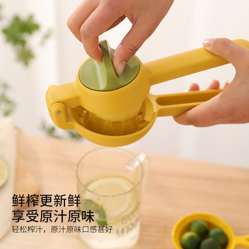 WhatsApp Image 2025-06-27 at 1.11.20 PM