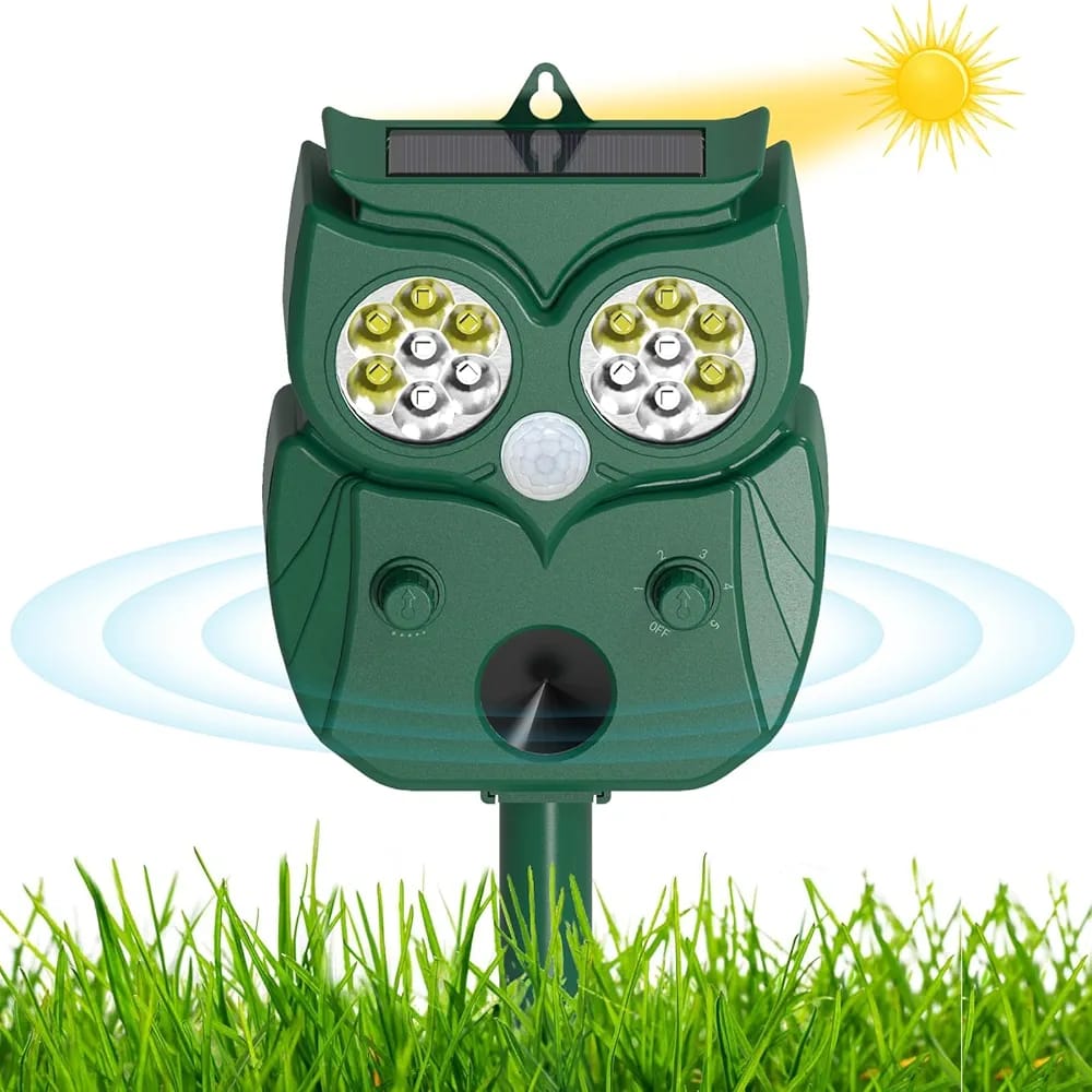 WhatsApp Image 2025-07-23 at 1.29.22 AM