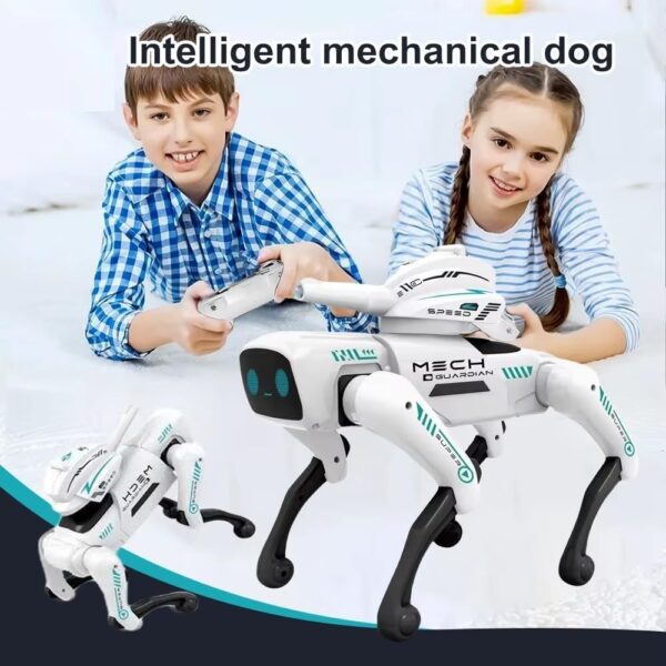 WhatsApp Image 2025-07-25 at 1.59.48 AM (2)