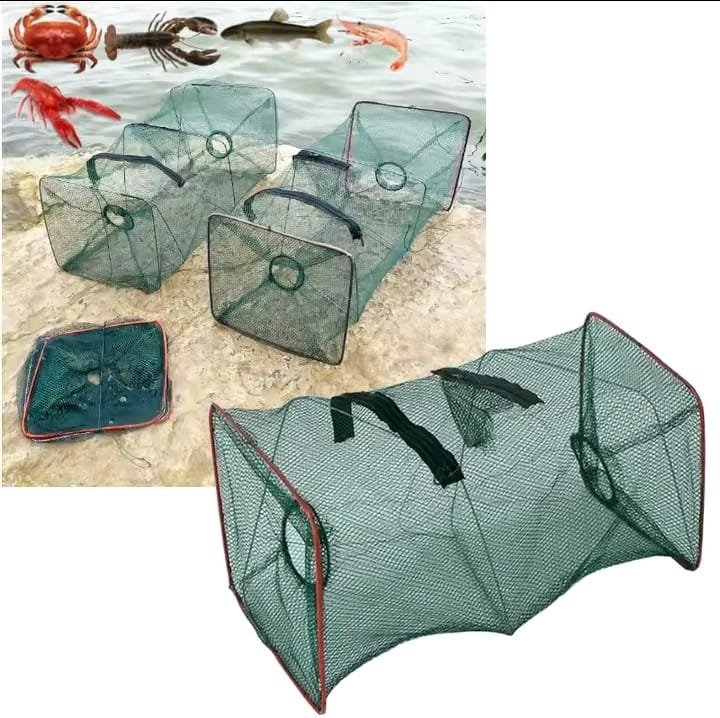 WhatsApp Image 2025-08-27 at 9.44.55 PM