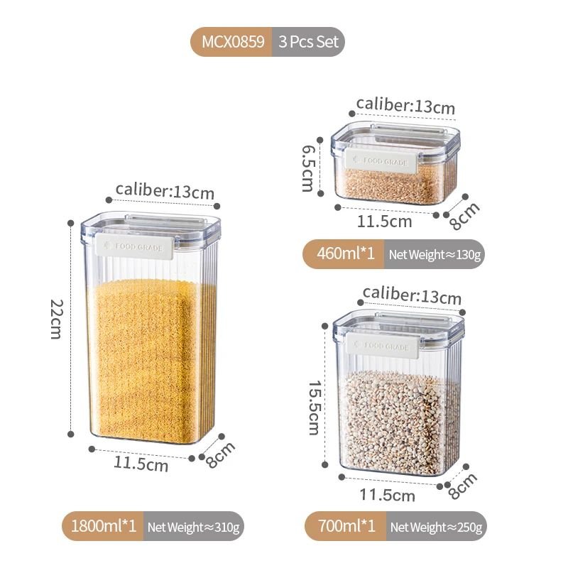 WhatsApp Image 2025-09-25 at 3.33.43 AM (2)