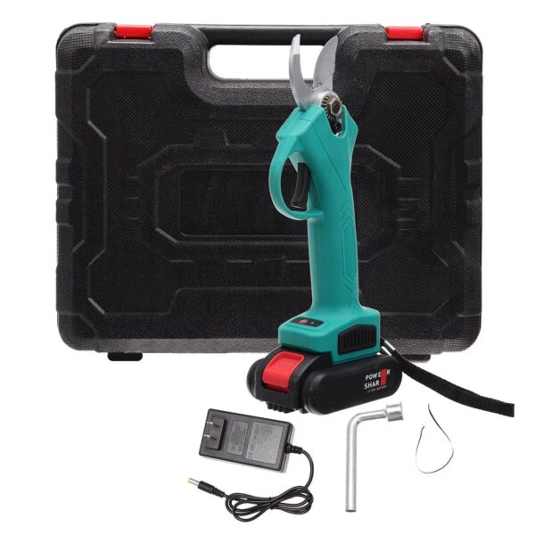 WhatsApp Image 2025-09-25 at 3.34.54 AM